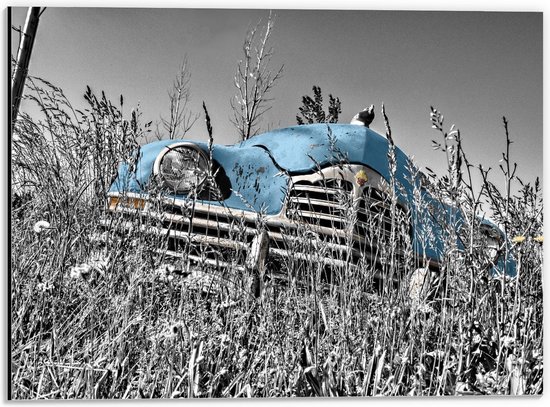 Dibond - Blauwe Retro Auto in Gras - 40x30cm Foto op Aluminium (Wanddecoratie van metaal)