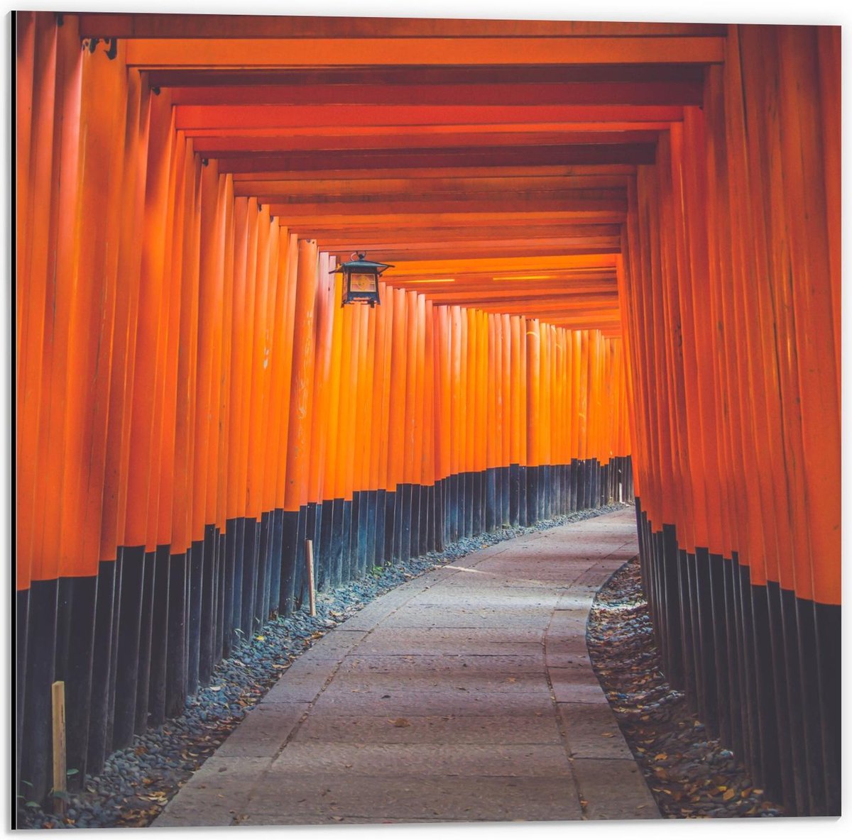 Dibond - Gang van Oranje Palen - 50x50cm Foto op Aluminium (Met Ophangsysteem)