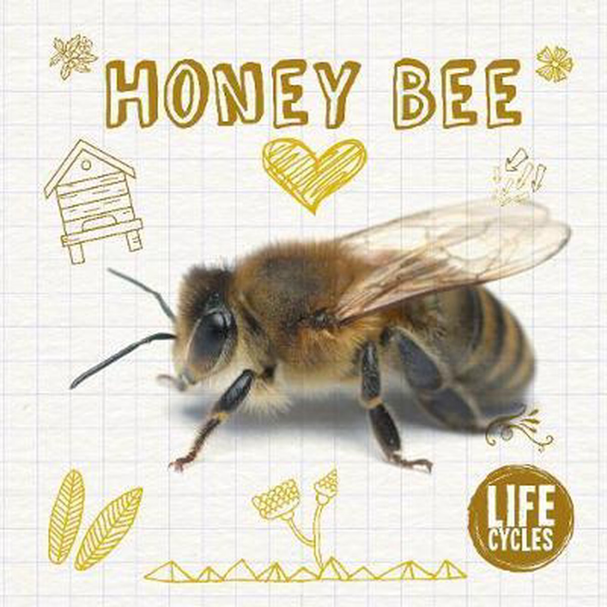 Bee life. Bee Life Cycle. Honey Bee Life Cycle. Жизнь пчел. Начало лайф пчелы.