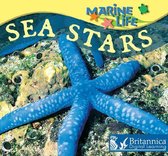 Marine Life - Sea Stars