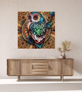 JDBOS ® Schilderen op nummer Volwassenen met frame (hout) - Gekleurde uil - Colorful owl  - Verven volwassenen - 40x50 cm