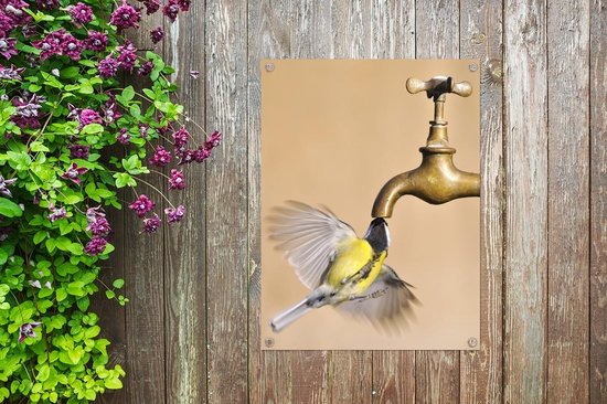 Poster Oiseau à boire d'un robinet doré de jardin Toile en vrac 30x40 cm -  petit -... | bol.com