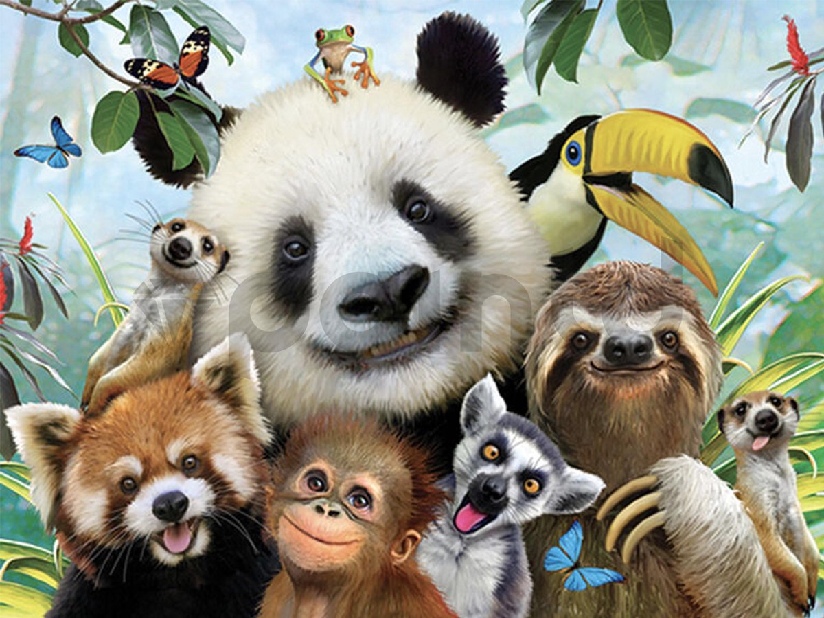 Paintd Diamond Painting Volwassenen Kinderen - Kleurrijk Gekke Dieren Jungle - 40x50 - Vierkante steentje