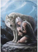 Canvas 50x70cm  - Protector - Anne Stokes