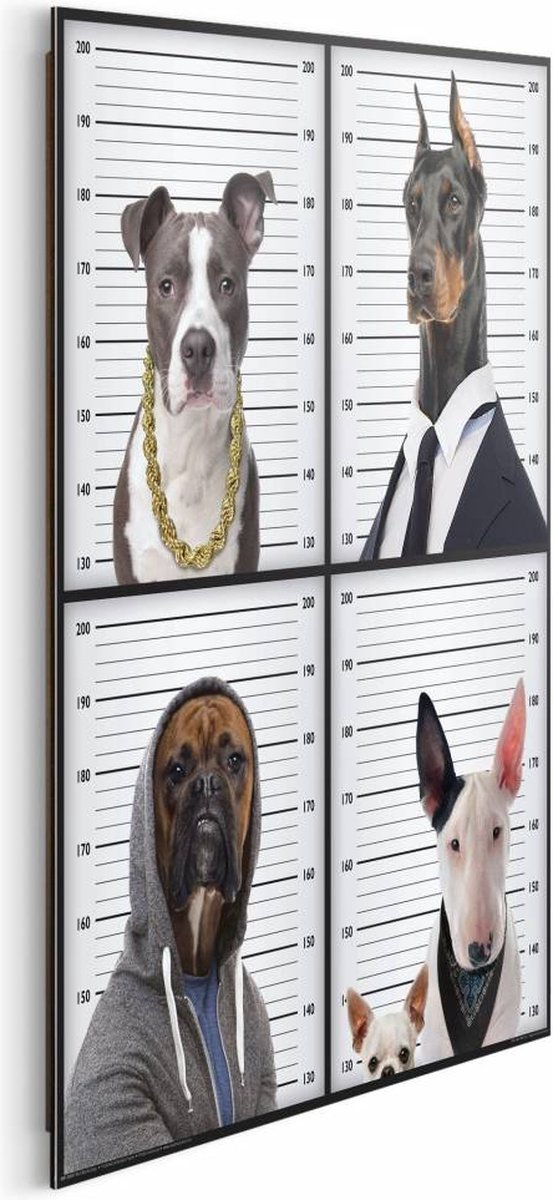 Reinders Most Wanted Dogs - Schilderij 40 x 50 cm Bonte kleuren