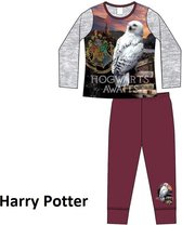 Harry Potter - meisjes /kinder-tiener-pyjama- maat 110/116