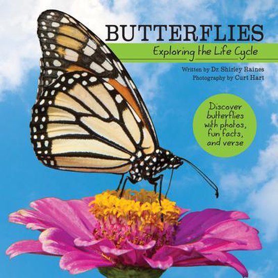 My Wonderful World- Butterflies - cover