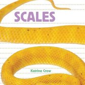 Whose Is It?- Scales
