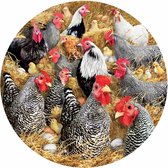 Ronde puzzel 1000 stukken Chickens and Chicks Sunsout