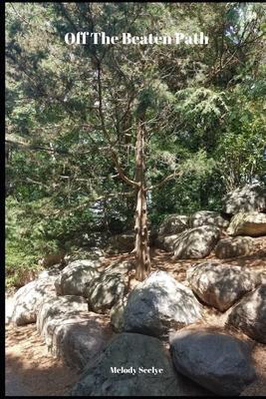 Off The Beaten Path - cover