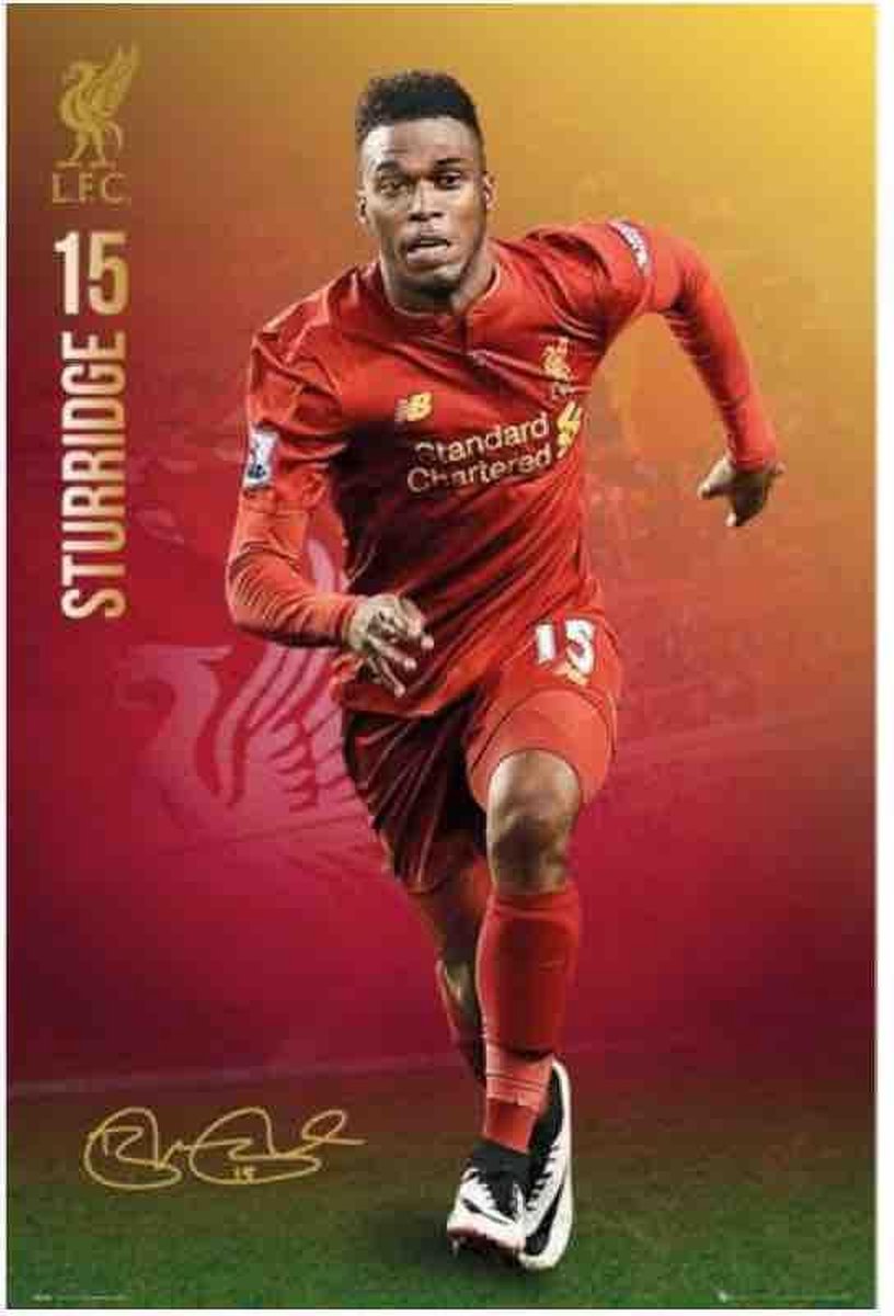 Liverpool FC Poster - Sturridge - 91 X 61 Cm - Multicolor