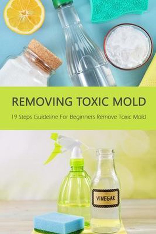 Removing Toxic Mold 19 Steps Guideline For Beginners Remove Toxic Mold