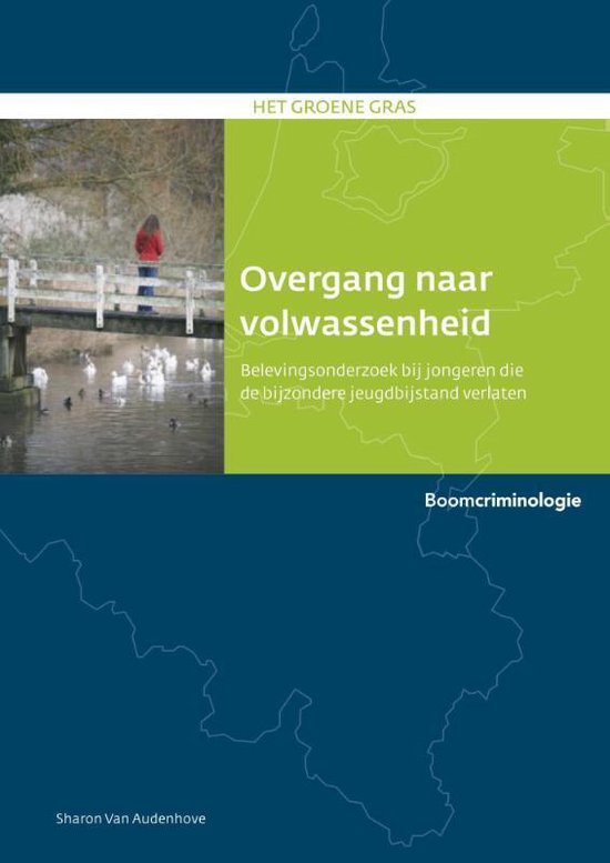 Boek 'Het groene gras' met afbeelding van jongere op brug, ganzen in water. Titel: Overgang naar volwassenheid.