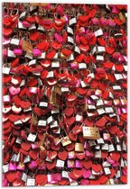 Acrylglas - Liefdessloten aan Hek Rood/Roze - 40x60cm Foto op Acrylglas (Wanddecoratie op Acrylglas)