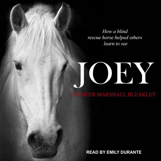 Joey - cover