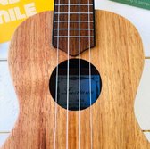 LEER UKELELE SPELEN | COMPLEET PAKKET VOOR SUPER START | We're here to get you uked