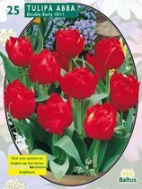 2 stuks Tulipa Dubbel Vroeg Abba per 25