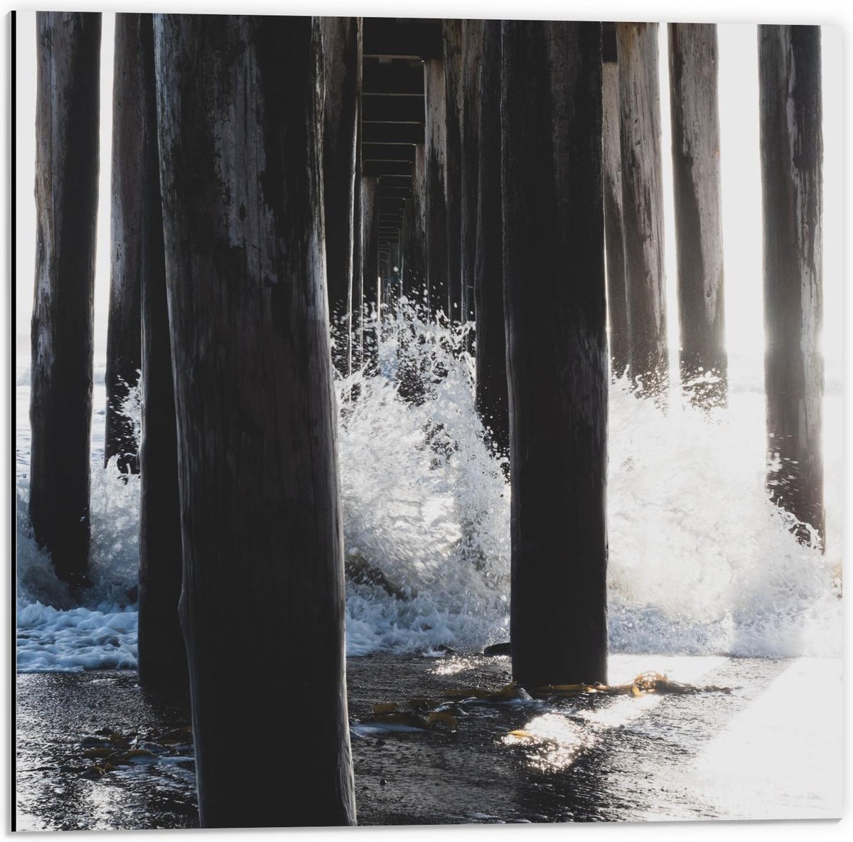 Dibond - Palen van een Pier in het Water - 50x50cm Foto op Aluminium (Wanddecoratie van me