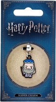 Professor Dumbledore Slider Charm