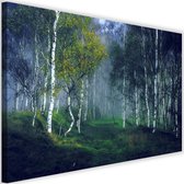 Schilderij Bomen in de mist (print op canvas), multi-gekleurd, Premium print