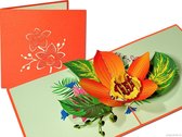 Popcards popupkaarten – Bloemen Oranje Orchidee Moederdag Koningsdag Vriendschap Verjaardag Felicitatie pop-up kaart 3D wenskaart