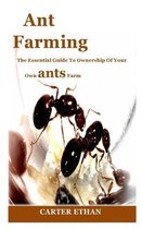 Ant Farming