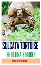 Sulcata Tortoise the Ultimate Guides