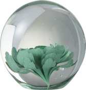J-Line Presse Papier Bloem Glas Muntgroen Medium