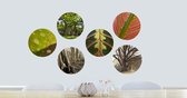 Ideasonthefloor.com - Behangcirkel - Zelfklevend - Titel: Leaf'nTree - serie van 6 - Ø 25cm - Planten En Bomen