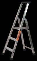 Castrex Easypro Huishoudtrap 1x3 treden