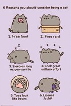 Pyramid Pusheen Reasons to be a Cat  Poster - 61x91,5cm
