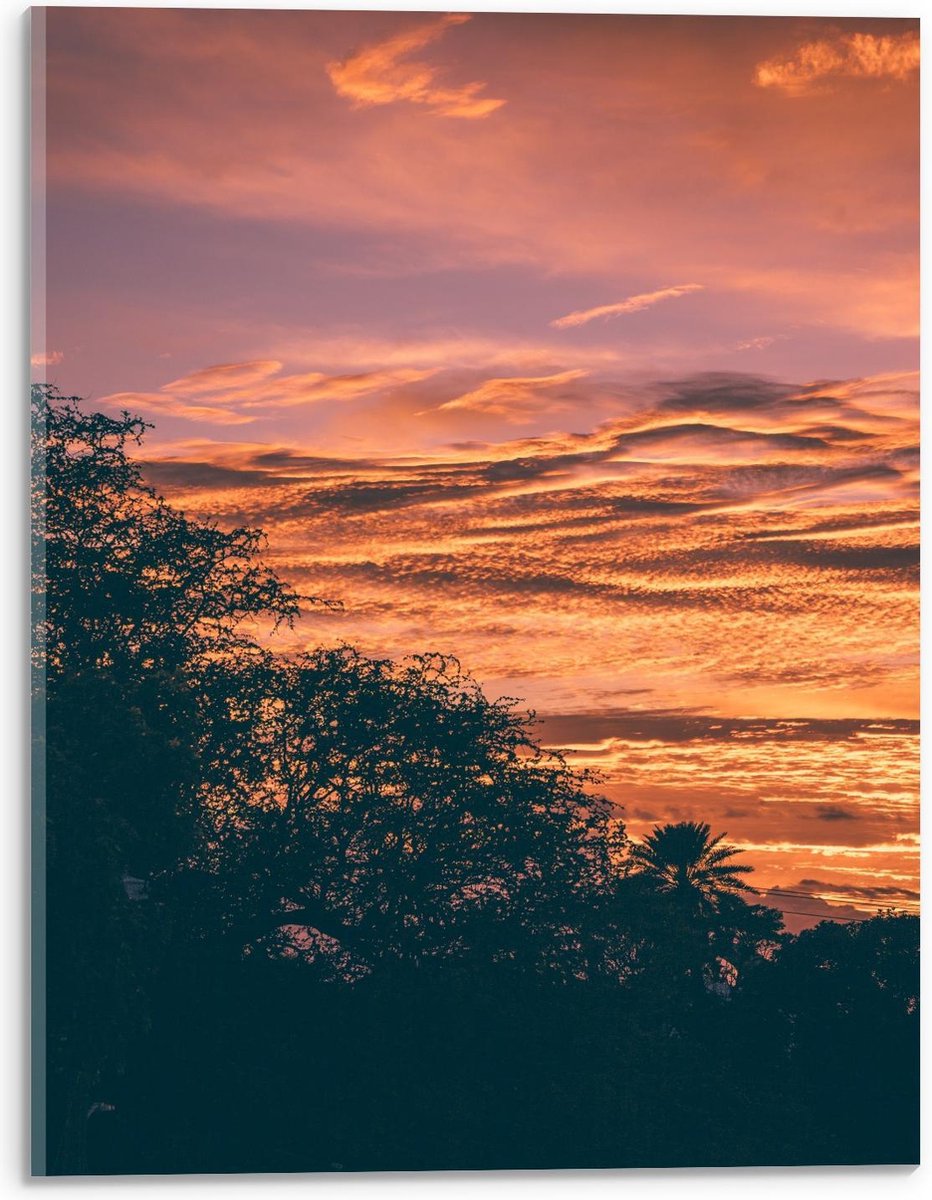 Plexiglas - Boom met Zonsondergang Lucht - 30x40cm Foto op Plexiglas (Met Ophangsysteem)