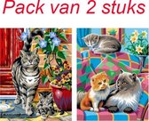 Iedereen Kan Schilderen - Kat