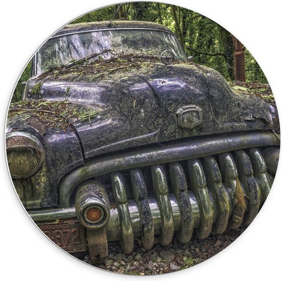 KuijsFotoprint - Schilderij - Oude Auto Met Mos In Het Bos - Zwart, Groen, Bruin En Zilver - 70 X 70 Cm