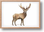 Poster hert - A4 - mooi dik papier - Snel verzonden! - bosdieren kerst - dieren in aquarel - geschilderd door Mies