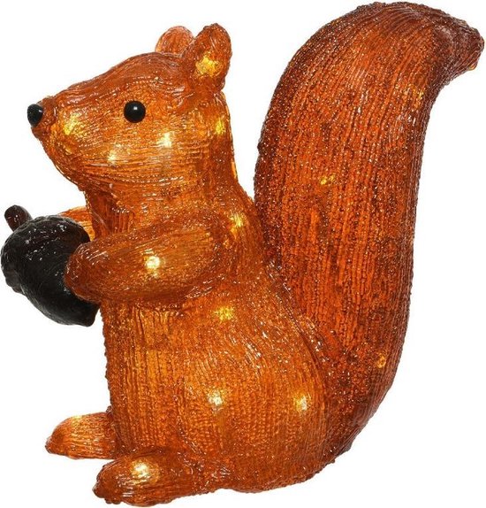 Kerstverlichting figuren voor buiten - Verlichte eekhoorn met eikel LED 30  lampjes -... | bol.com