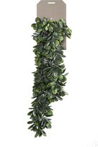 Kunst hangplant Crassula 80 cm