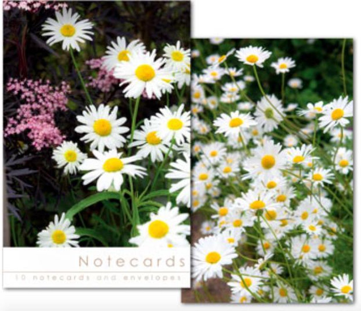 Leonard Smith Notecards ~ Kaartenmapje Margrieten