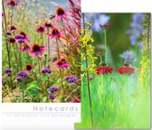 Leonard Smith Notecards ~ Kaartenmapje Echinacea