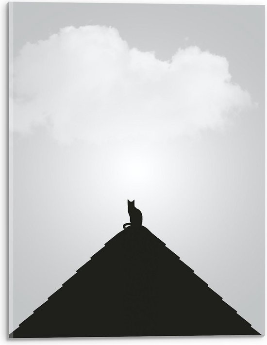 Acrylglas - Silhouette Kat op Piramide - 30x40cm Foto op Acrylglas (Wanddecoratie op Acrylglas)