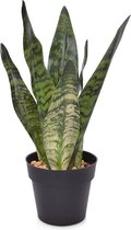 Sansevieria kunstplant 30 cm groen