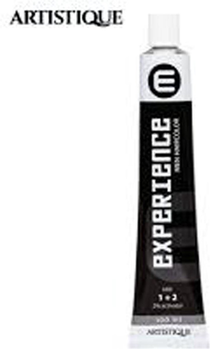Artistique Experience MEN - 6 Donkerblond 100 ml
