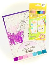 Kleurboek voor volwassen ''Zwaan' + 12 BIC kleurpotloden - Schaduw Kleurboek voor volwassenen - Kleurpotloden voor volwassenen - Potloden volwassenen - Kleuren - Stiften  bloemen