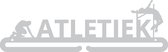 Luxe Atletiek Medaillehanger RVS (35cm breed) - Nederlands product - incl. cadeauverpakking - kogelslingeren - speerwerpen - discuswerpen - kogelstoten - hoogspringen - topkado – m