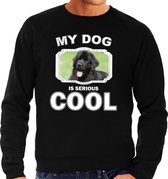 Newfoundlander  honden trui / sweater my dog is serious cool zwart - heren - Newfoundlanders liefhebber cadeau sweaters XL