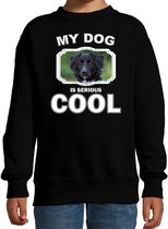 Friese stabij honden trui / sweater my dog is serious cool zwart - kinderen - Friese stabijs liefhebber cadeau sweaters 5-6 jaar (110/116)