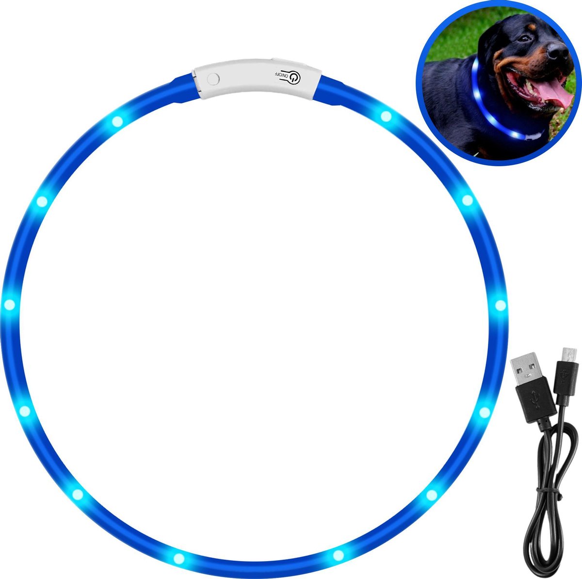Blauwe LED Halsband voor honden Medium / Blauw verlichte halsband