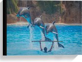 Canvas  - Drie Springende Dolfijnen in het Water - 40x30cm Foto op Canvas Schilderij (Wanddecoratie op Canvas)