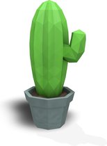 3D Papercraft-Kit Cactus - licht groen / grijs | doe het zelf pakket