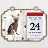 Scheurkalender 2023 Hond: Naakthond
